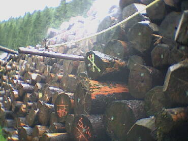 Holzlagerplatz