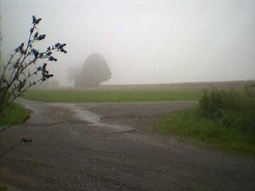 (c)2002 KPKproject - IVV-Weitwanderweg Schömberg -  Strecke-5 am 11.08.02/13.00
