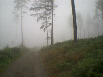 (c)2002 KPKproject - IVV-Weitwanderweg Schömberg -  Strecke-5 am 11.08.02/13.00