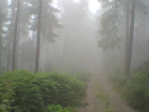 (c)2002 KPKproject - IVV-Weitwanderweg Schömberg -  Strecke-5 am 11.08.02/13.00