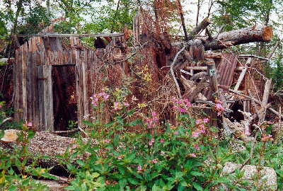 (c) KPKproject - Schutzhtte bei Grunbach